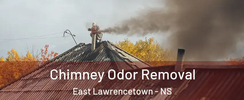  Chimney Odor Removal East Lawrencetown - NS