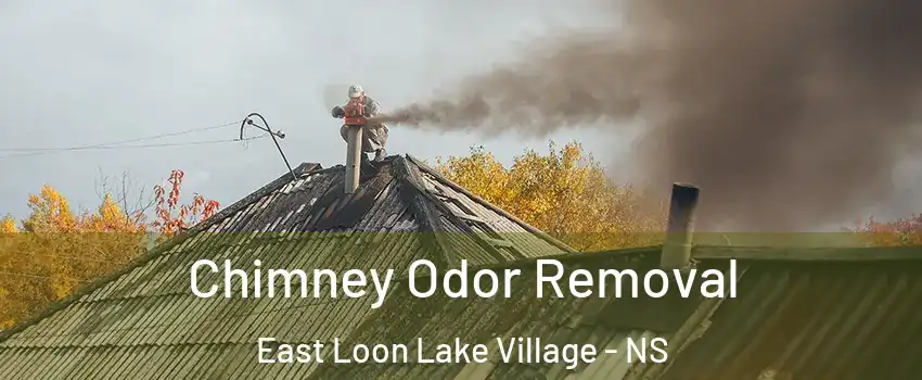  Chimney Odor Removal East Loon Lake Village - NS