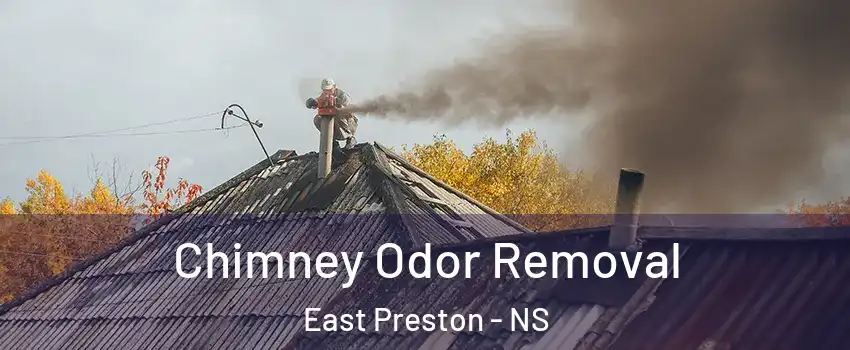  Chimney Odor Removal East Preston - NS