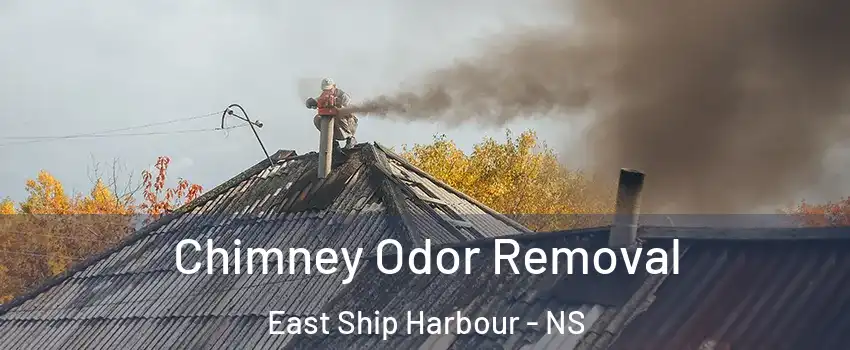  Chimney Odor Removal East Ship Harbour - NS