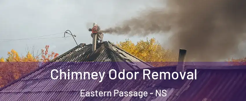 Chimney Odor Removal Eastern Passage - NS