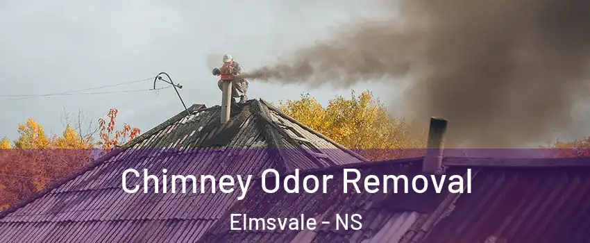  Chimney Odor Removal Elmsvale - NS