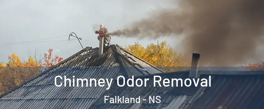  Chimney Odor Removal Falkland - NS