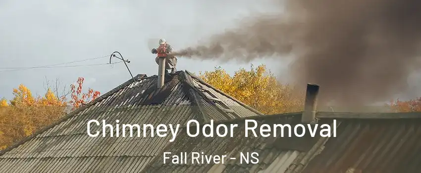  Chimney Odor Removal Fall River - NS