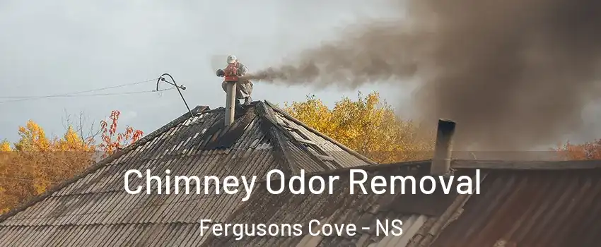  Chimney Odor Removal Fergusons Cove - NS