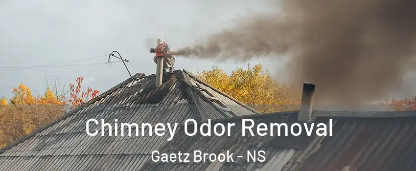  Chimney Odor Removal Gaetz Brook - NS
