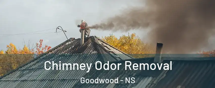  Chimney Odor Removal Goodwood - NS