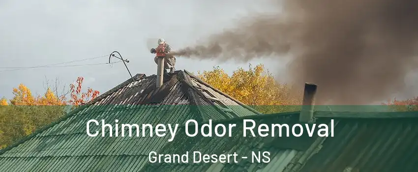  Chimney Odor Removal Grand Desert - NS
