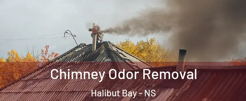  Chimney Odor Removal Halibut Bay - NS