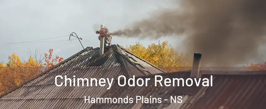  Chimney Odor Removal Hammonds Plains - NS