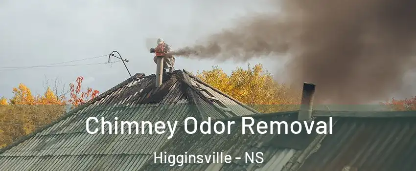  Chimney Odor Removal Higginsville - NS