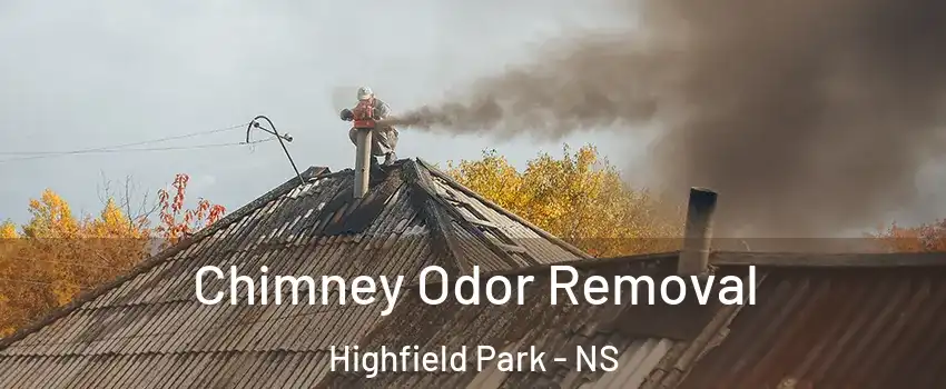  Chimney Odor Removal Highfield Park - NS