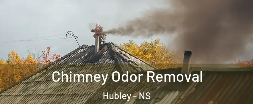  Chimney Odor Removal Hubley - NS