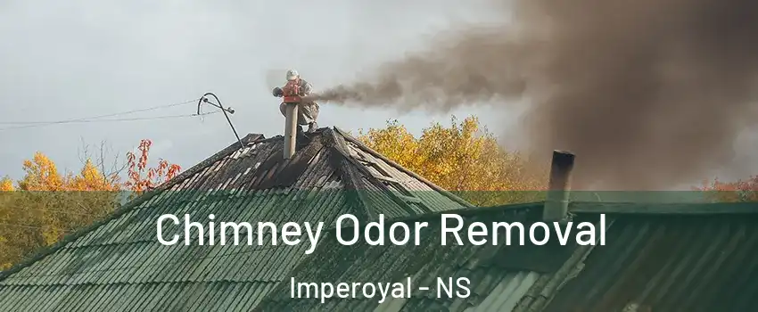  Chimney Odor Removal Imperoyal - NS