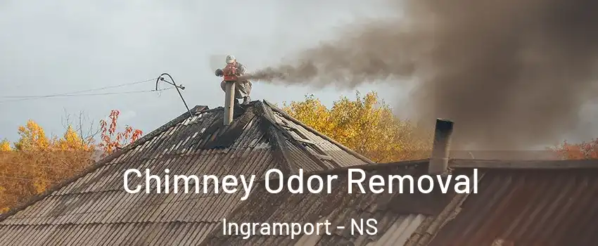  Chimney Odor Removal Ingramport - NS