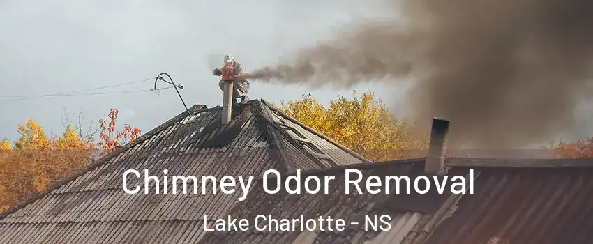 Chimney Odor Removal Lake Charlotte - NS