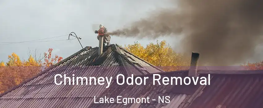  Chimney Odor Removal Lake Egmont - NS