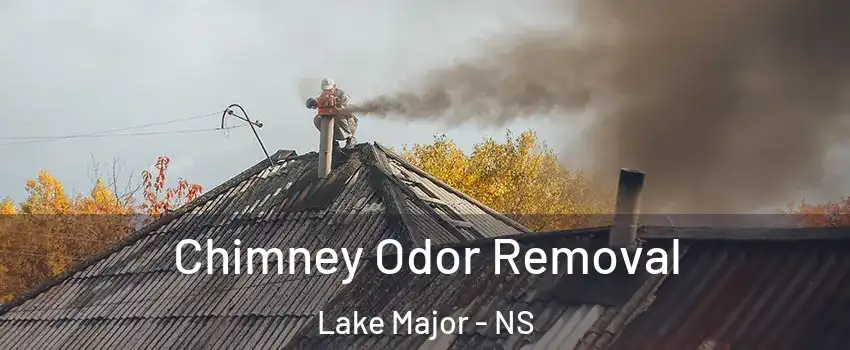  Chimney Odor Removal Lake Major - NS