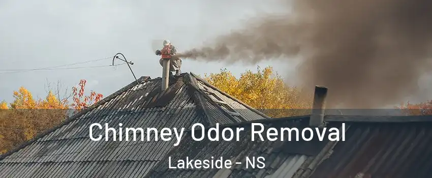  Chimney Odor Removal Lakeside - NS