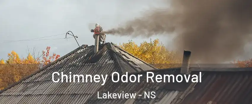  Chimney Odor Removal Lakeview - NS