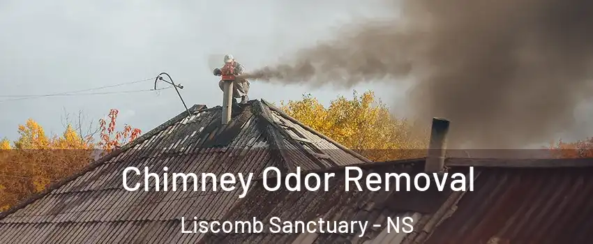  Chimney Odor Removal Liscomb Sanctuary - NS