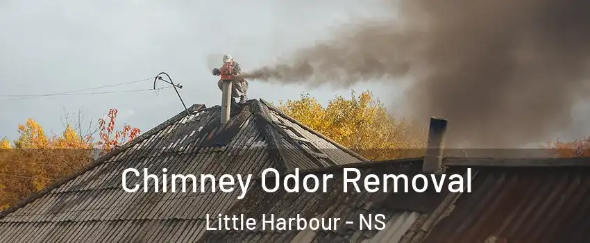  Chimney Odor Removal Little Harbour - NS