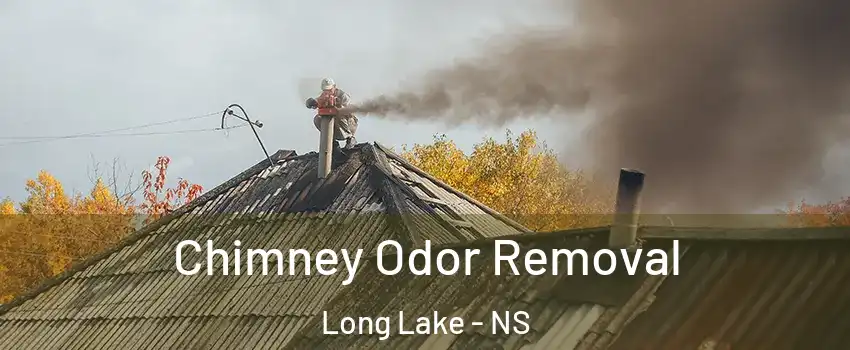  Chimney Odor Removal Long Lake - NS