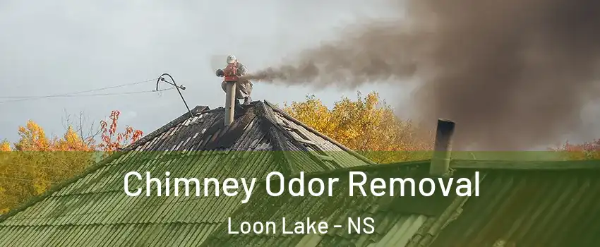 Chimney Odor Removal Loon Lake - NS