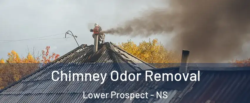  Chimney Odor Removal Lower Prospect - NS