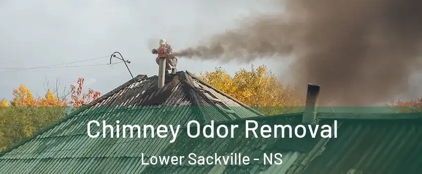  Chimney Odor Removal Lower Sackville - NS