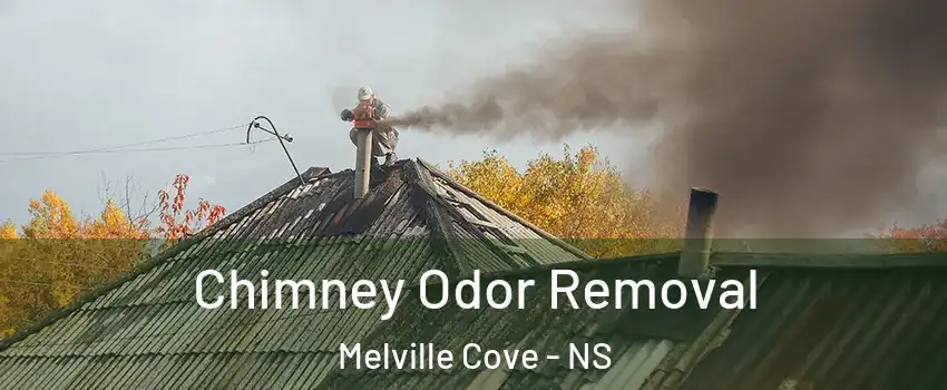  Chimney Odor Removal Melville Cove - NS