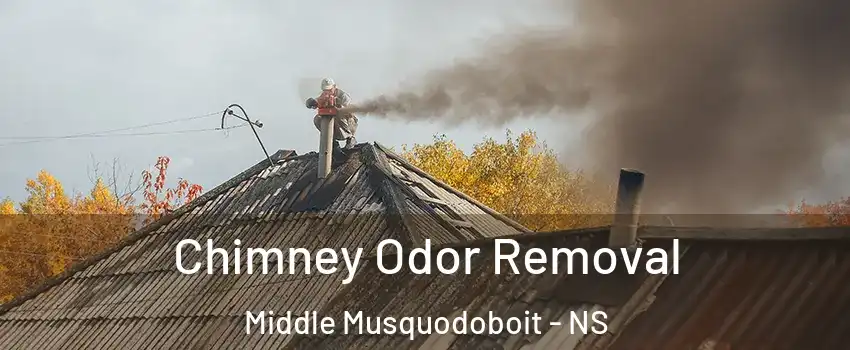  Chimney Odor Removal Middle Musquodoboit - NS