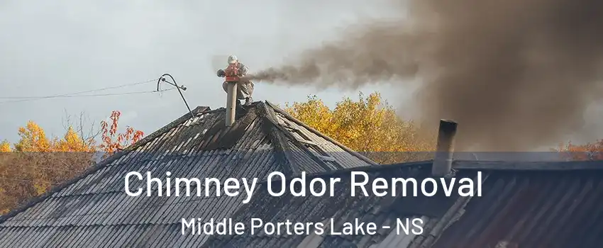  Chimney Odor Removal Middle Porters Lake - NS