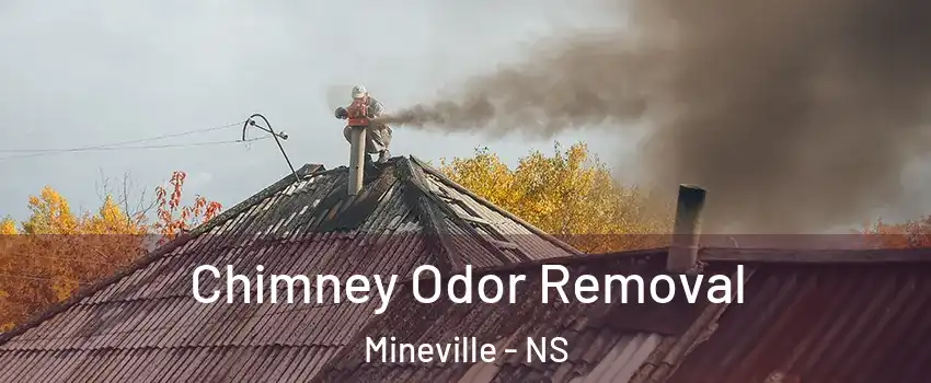  Chimney Odor Removal Mineville - NS