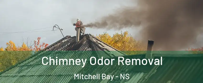  Chimney Odor Removal Mitchell Bay - NS