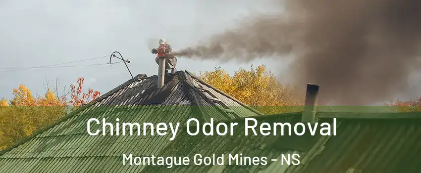  Chimney Odor Removal Montague Gold Mines - NS