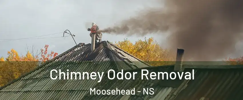  Chimney Odor Removal Moosehead - NS