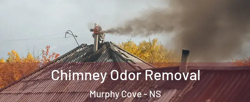  Chimney Odor Removal Murphy Cove - NS