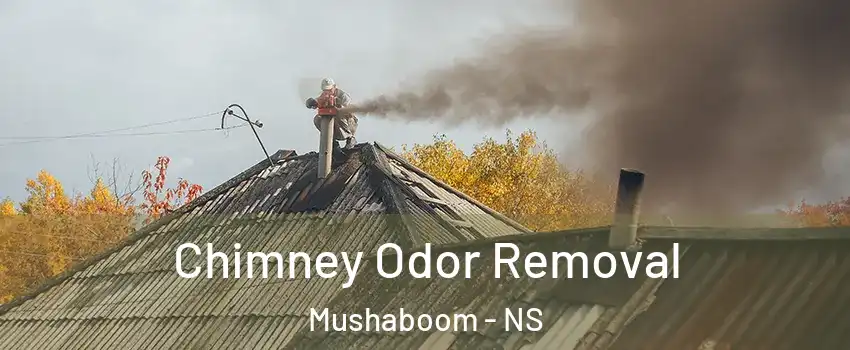 Chimney Odor Removal Mushaboom - NS