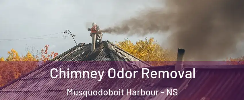  Chimney Odor Removal Musquodoboit Harbour - NS
