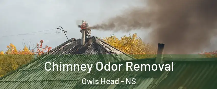  Chimney Odor Removal Owls Head - NS