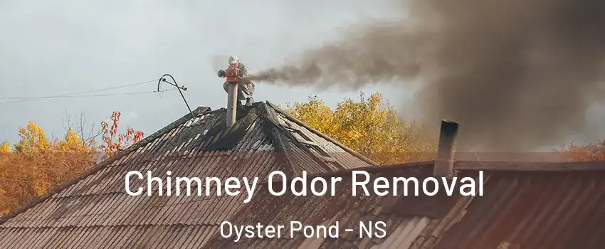  Chimney Odor Removal Oyster Pond - NS