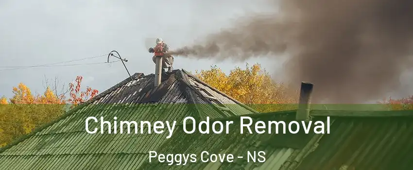  Chimney Odor Removal Peggys Cove - NS