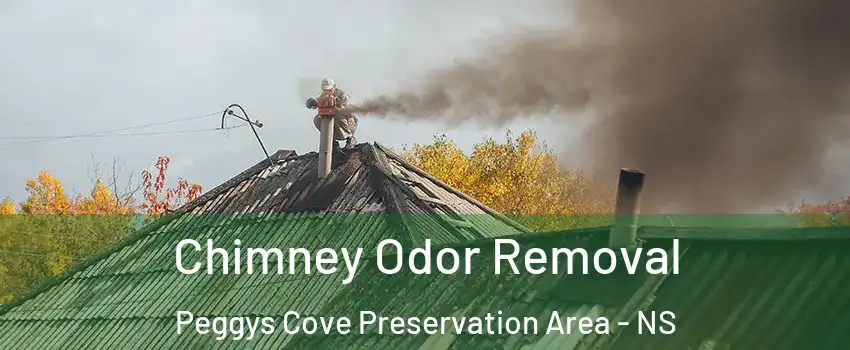  Chimney Odor Removal Peggys Cove Preservation Area - NS