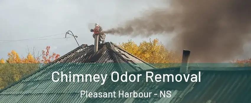  Chimney Odor Removal Pleasant Harbour - NS