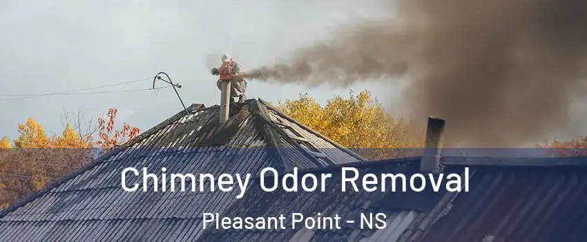  Chimney Odor Removal Pleasant Point - NS