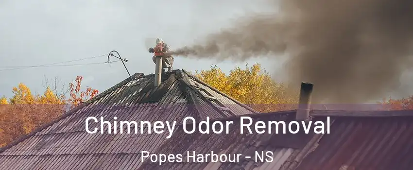  Chimney Odor Removal Popes Harbour - NS