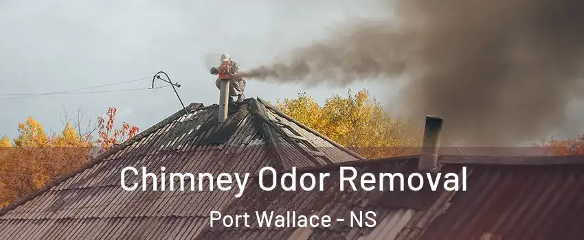  Chimney Odor Removal Port Wallace - NS