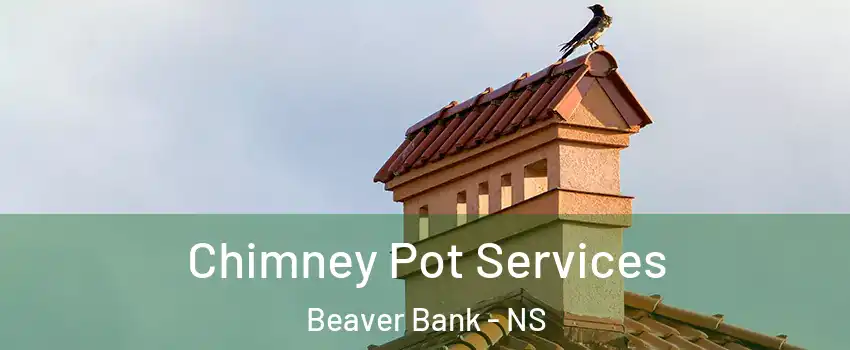  Chimney Pot Services Beaver Bank - NS