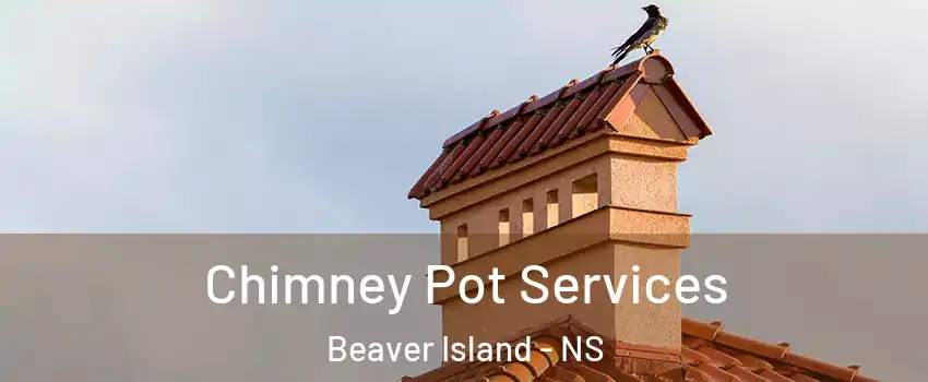  Chimney Pot Services Beaver Island - NS